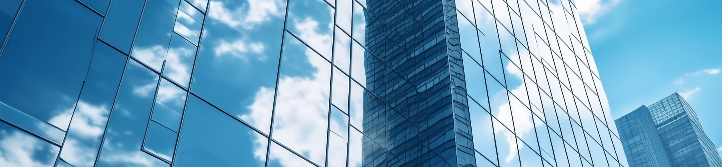 企業情報